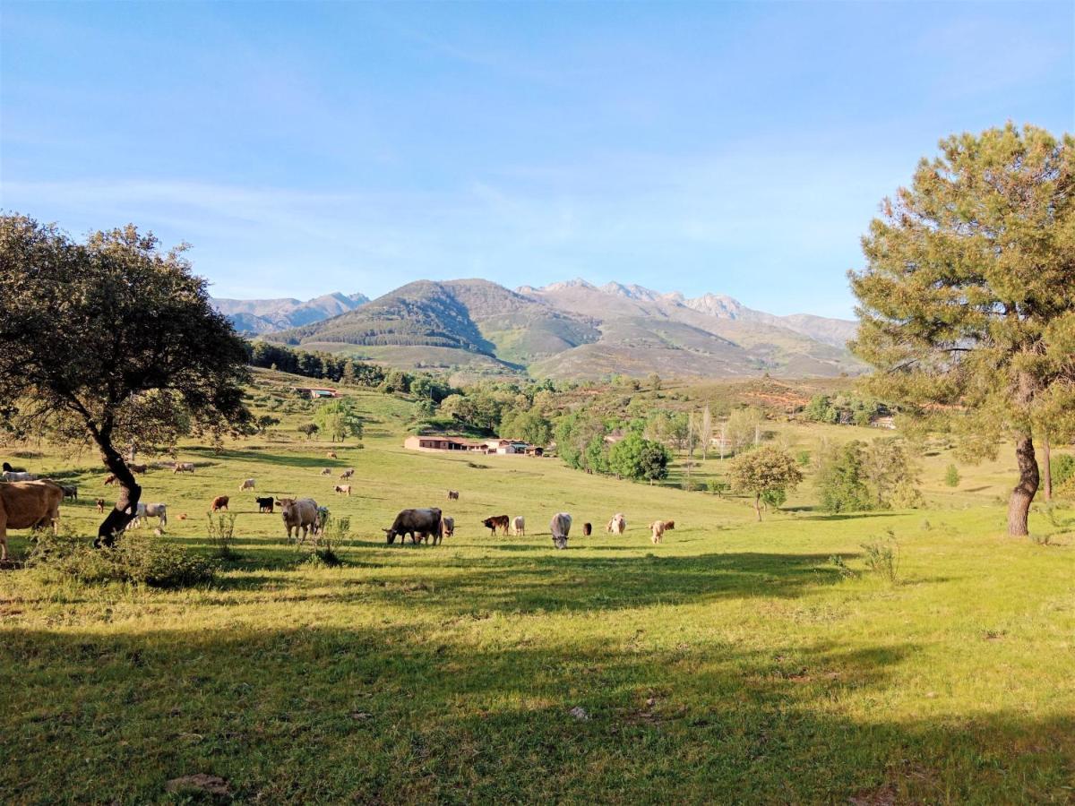 Casa Rural - Complejo El Tejar De Las Canadas Candeleda Esterno foto