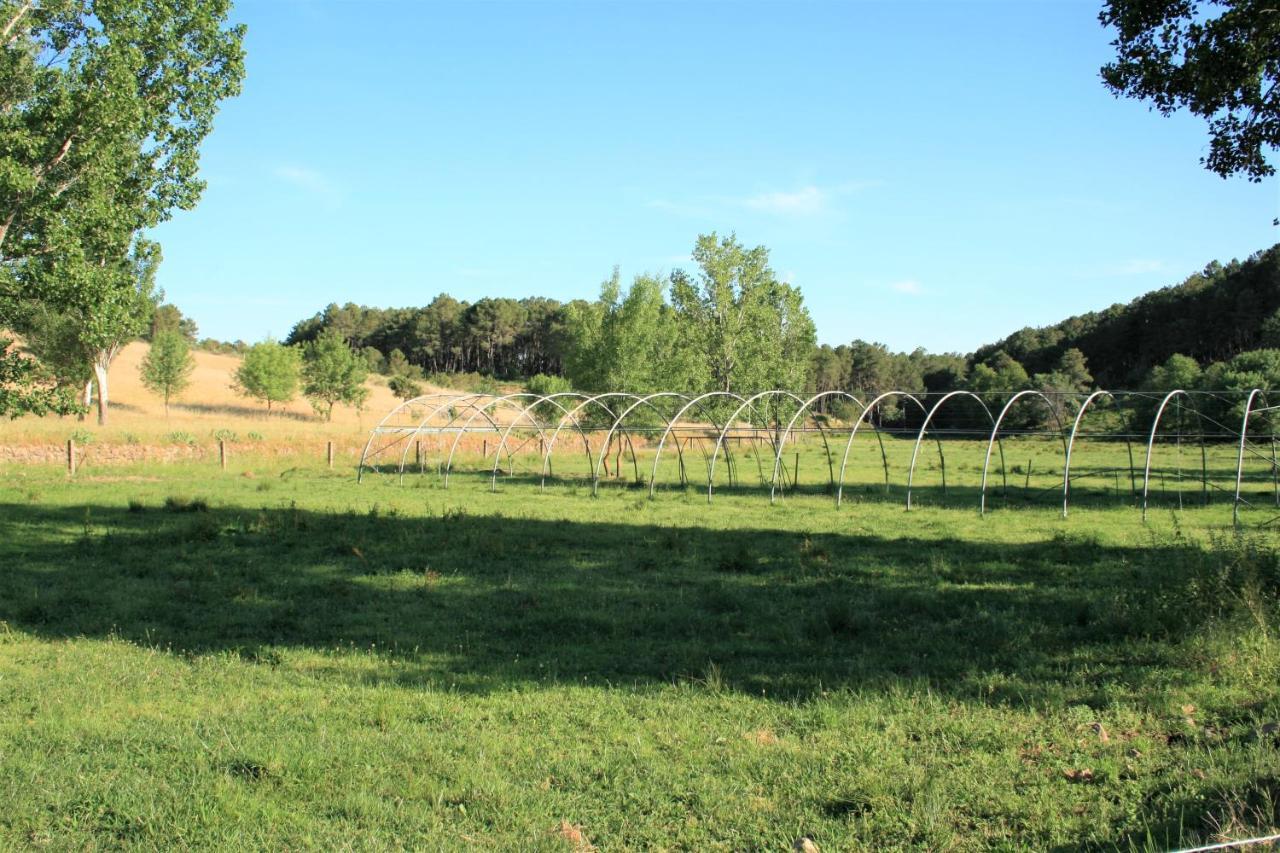 Casa Rural - Complejo El Tejar De Las Canadas Candeleda Esterno foto