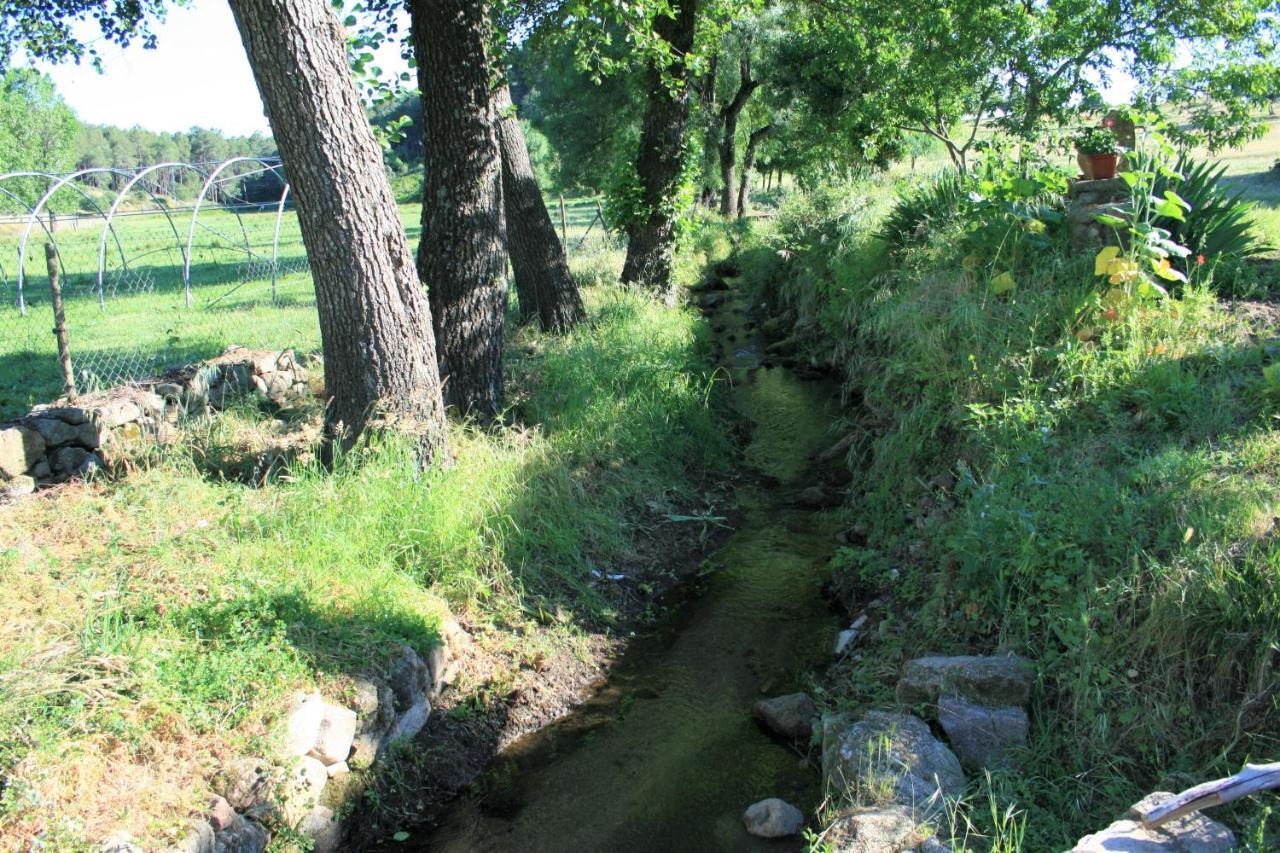 Casa Rural - Complejo El Tejar De Las Canadas Candeleda Esterno foto