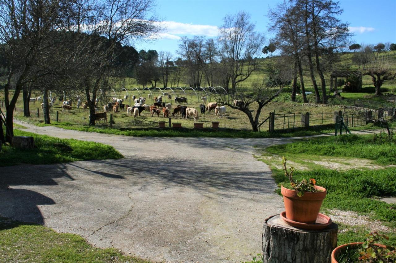 Casa Rural - Complejo El Tejar De Las Canadas Candeleda Esterno foto